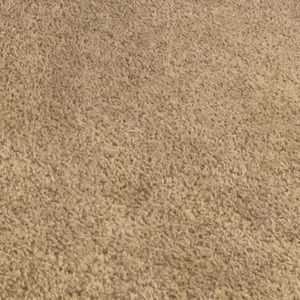 Meet your Posher, Ellie